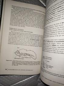 fundamentals of applied entomology 【】基础应用昆虫学 外文原版