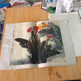 美人蕉中国画
