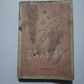 艺用人体结构
