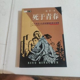 死于青春:一个年仅十九岁的警察的悲壮故事
