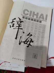 多功能现代汉语辞海 1