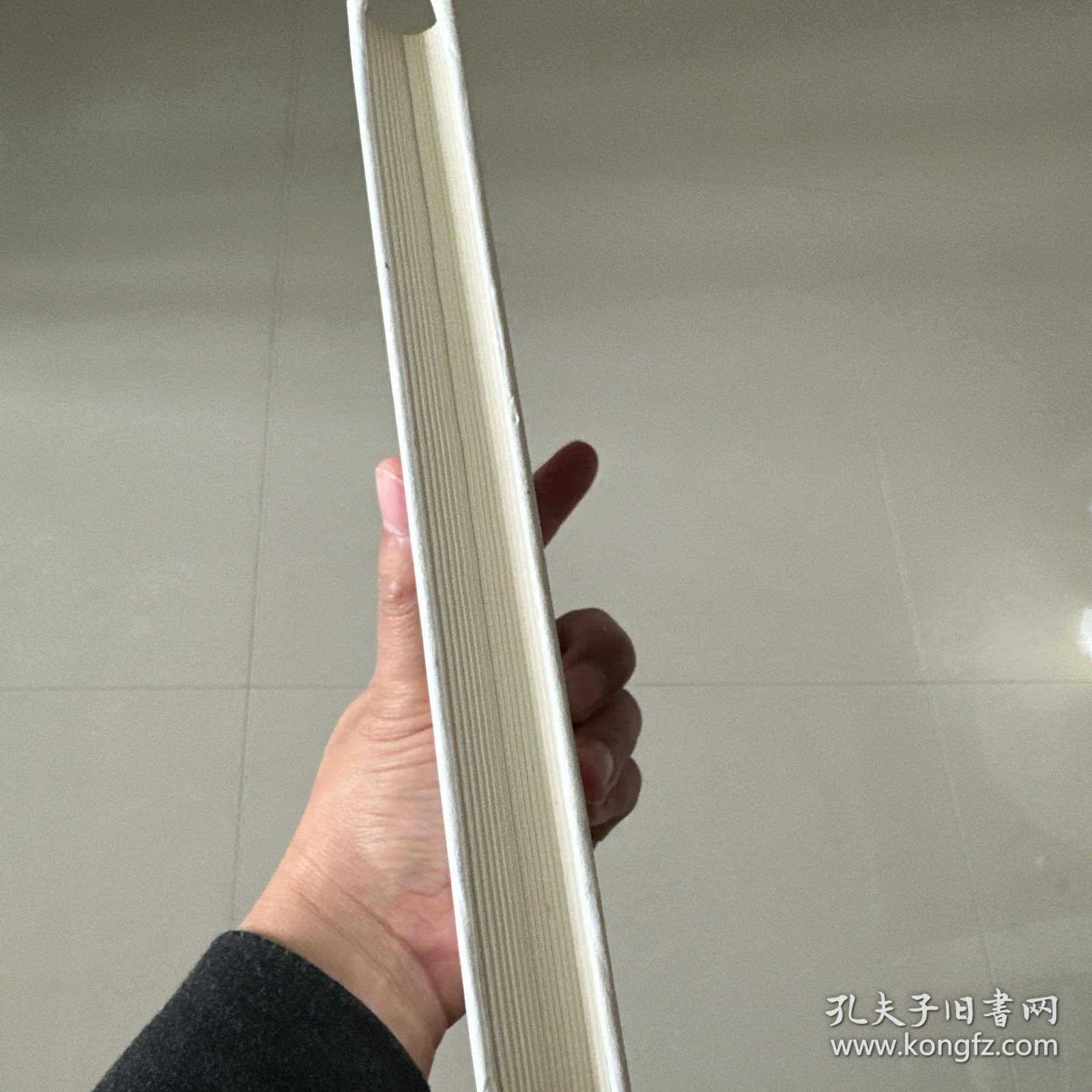 普希金中短篇小说集:上尉的女儿(精)