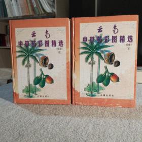 云南中草药彩色精选珍藏上下册