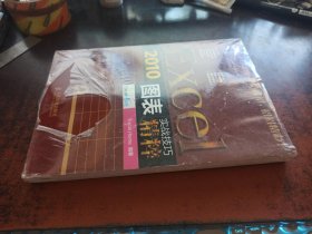 实战技巧精粹：Excel2010图表（附光盘，全新未开封）
