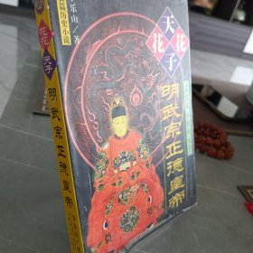 花花天子—明武宗正德皇帝:历史上最荒诞不经的天子:长篇历史小说