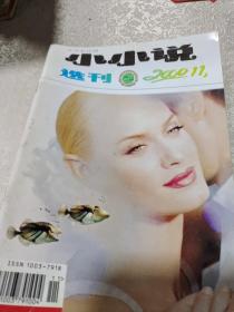 小小说选刊2000年11