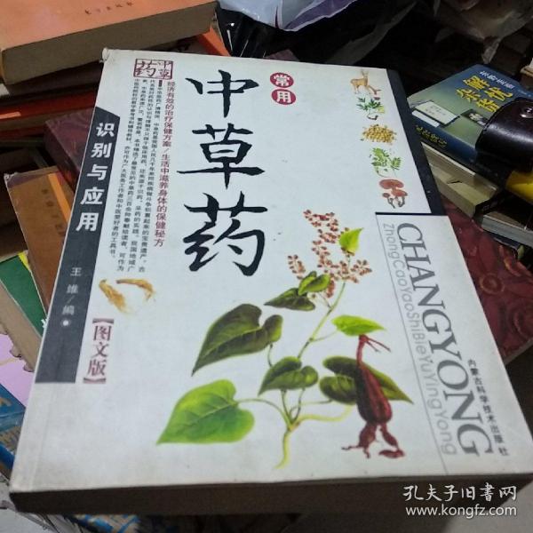 常用中草药识别与应用（图文版）