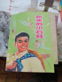 新来的小石柱