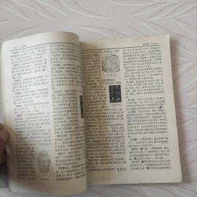 1977年语言文字分册，辞海