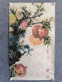 杭英(精品石榴多子多福)保真