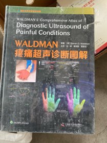 WALDMAN疼痛超声诊断图解/国际经典疼痛医学译著