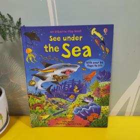See under the Sea