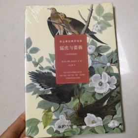 猛虎与蔷薇：徐志摩经典译诗选（双语彩绘版）