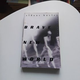 Brave New World（书名以图片为准）