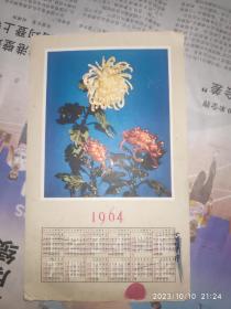年历卡：菊花  1964年  枚