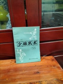少林武术