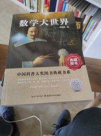 中国科普大奖图书典藏书系：数学大世界（典藏图书）