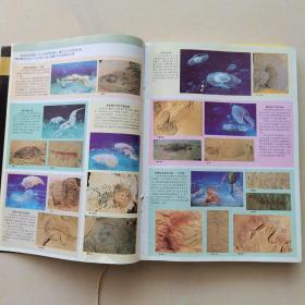 科学画报1997年1一6