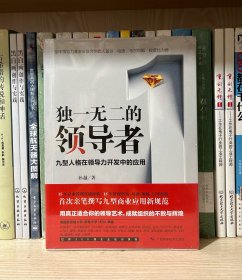 独一无二的领导者 九型人格在领导力开发中的应用（全新塑封）