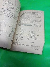 少林金刚拳·少林长护心意门拳·少林九节鞭北京工业大学出版社