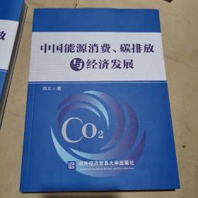 中国能源消费碳排放与经济发展。