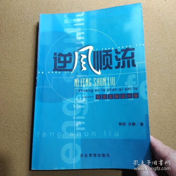 逆风顺流:双安发展启示录