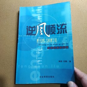 逆风顺流:双安发展启示录