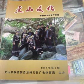 文山文化非物质文化遗产专刊