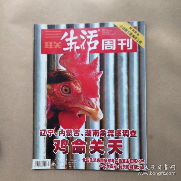 三联生活周刊2005年第43期总第361期鸡命关天