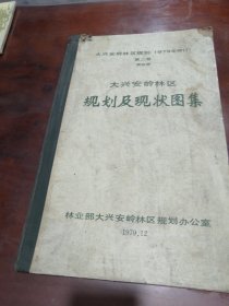 大兴安岭林区规划（1979年修订）