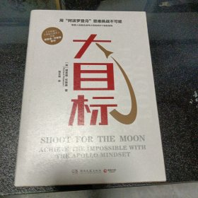 大目标（怀斯曼用心理学知识帮你拆解如何实现看似不可能大目标的心理励志图书）