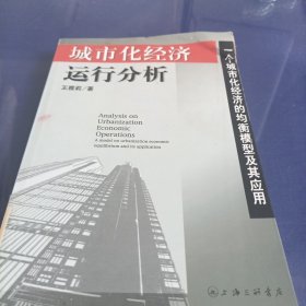 城市化经济运行分析