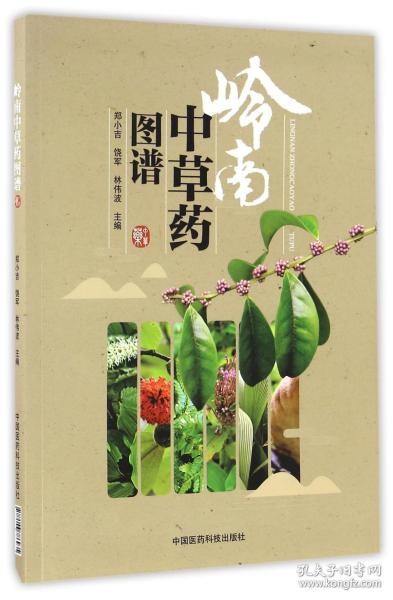 全新正版 岭南中草药图谱 编者:郑小吉//饶军//林伟波 9787506786935 中国医药科技