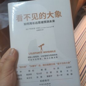 《看不见的大象：学会用长远思维预测未来》（警惕黑天鹅，防备灰犀牛，驯服看不见的大象 构建长远思维，读懂耐心资本）