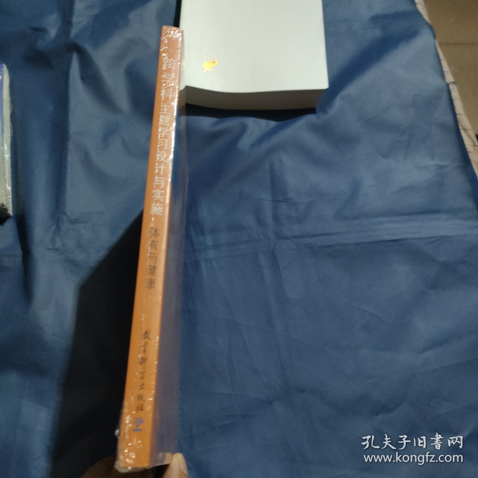 跨学科主题学习设计与实施 体育与健康