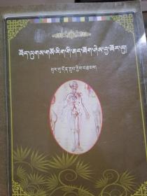 藏医临床实践手册