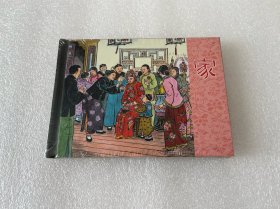 家（上美小精 董天野 上海人民美术出版社 50开精装 连环画）