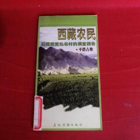 西藏农民:后藏班觉伦布村的调查报告