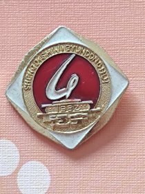 辽宁第四届运动会会徽纪念章。