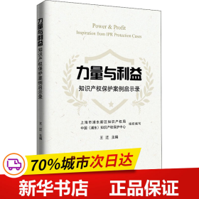 力量与利益：知识产权保护案例启示录