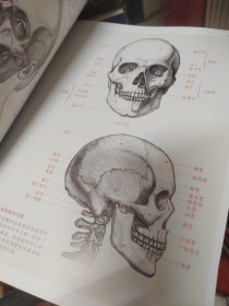 全解人体结构