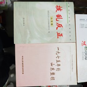 拨乱反正.山东卷 +整顿 2册合售
