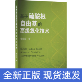 基于硫酸根自由基的高级氧化技术