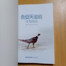 永安天宝岩鸟类图鉴【书品见图，无外封，铜版纸彩印】
