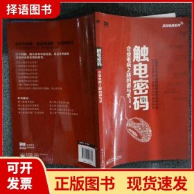 实战电商系列·触电密码：企业电商之路的道与术（全彩）