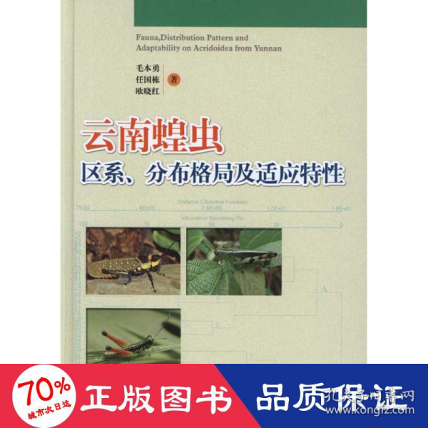 普通高等教育“十一五”国家级规划教材：云南蝗虫区系、分布格局及适应特性