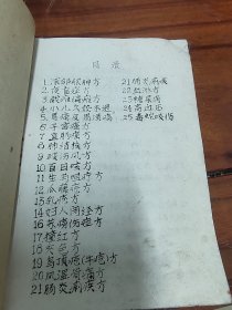 两本小本子共49条方，共13页。