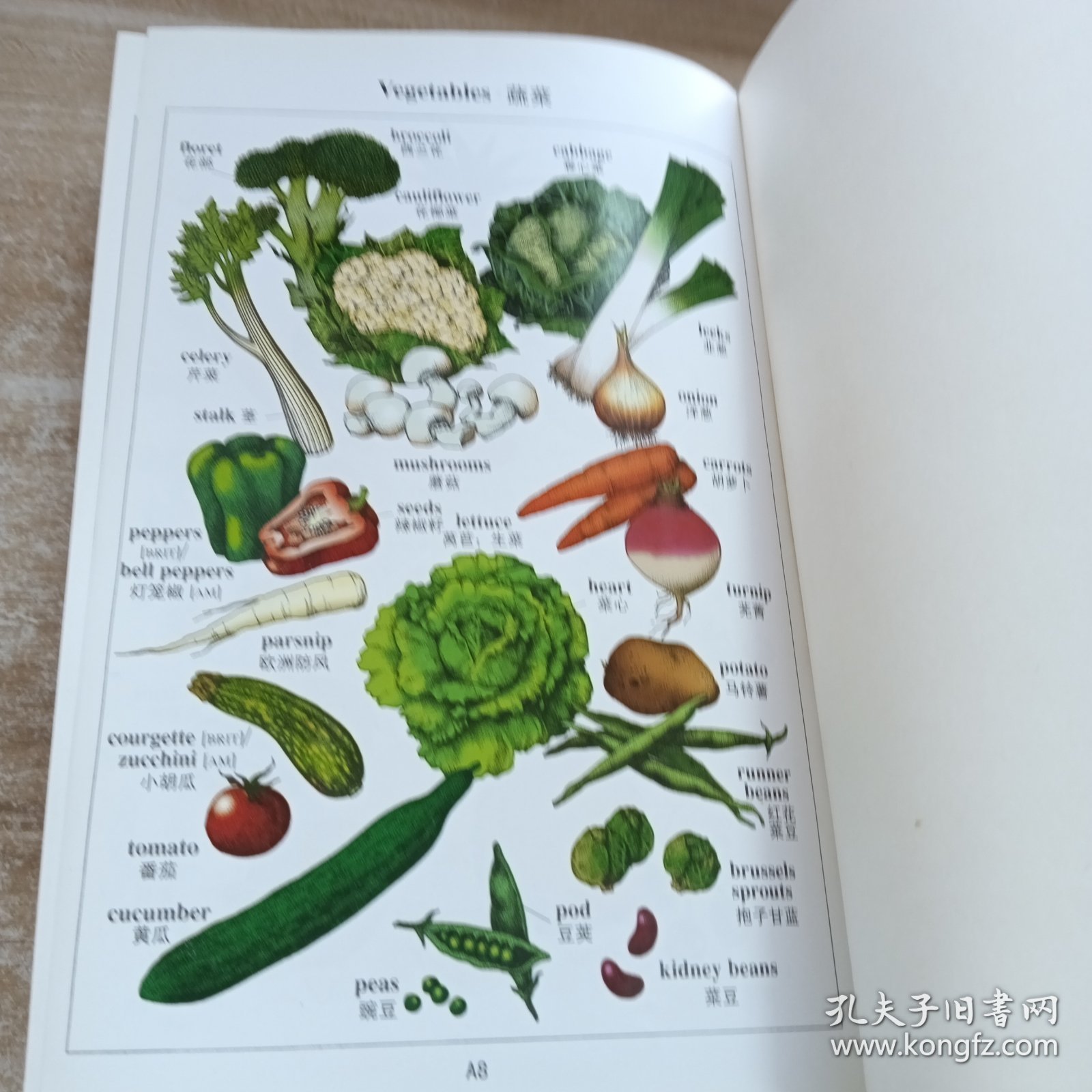 柯林斯COBUILD高阶英汉双解学习词典