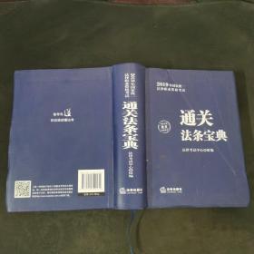 司法考试2019国家统一法律职业资格考试：通关法条宝典