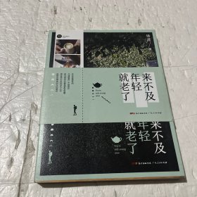 来不及年轻就老了（90后青年作家悟澹散文集，观照内心，分享旅居江南的禅意时光。）